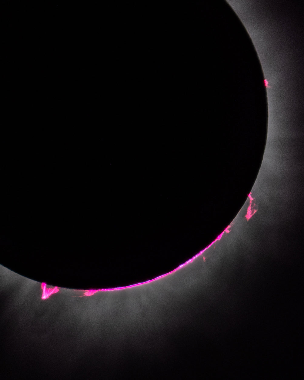 Eclipse 2024 - Prominences