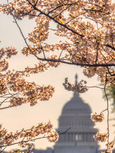 Load image into Gallery viewer, The Capitol in The Capital