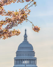 Load image into Gallery viewer, The Capitol in The Capital