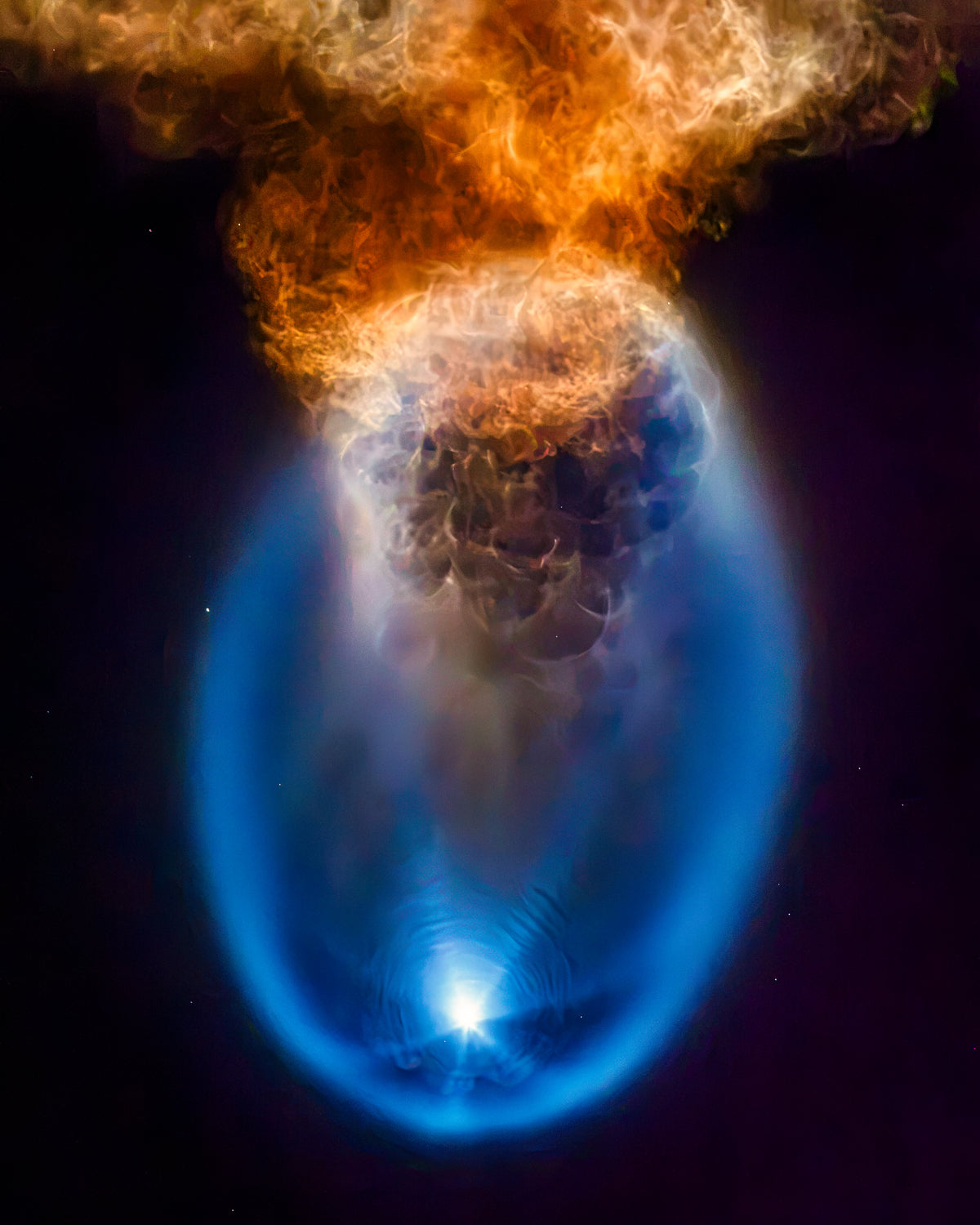 An Amazing Space Jellyfish 🪼 | CRS-35
