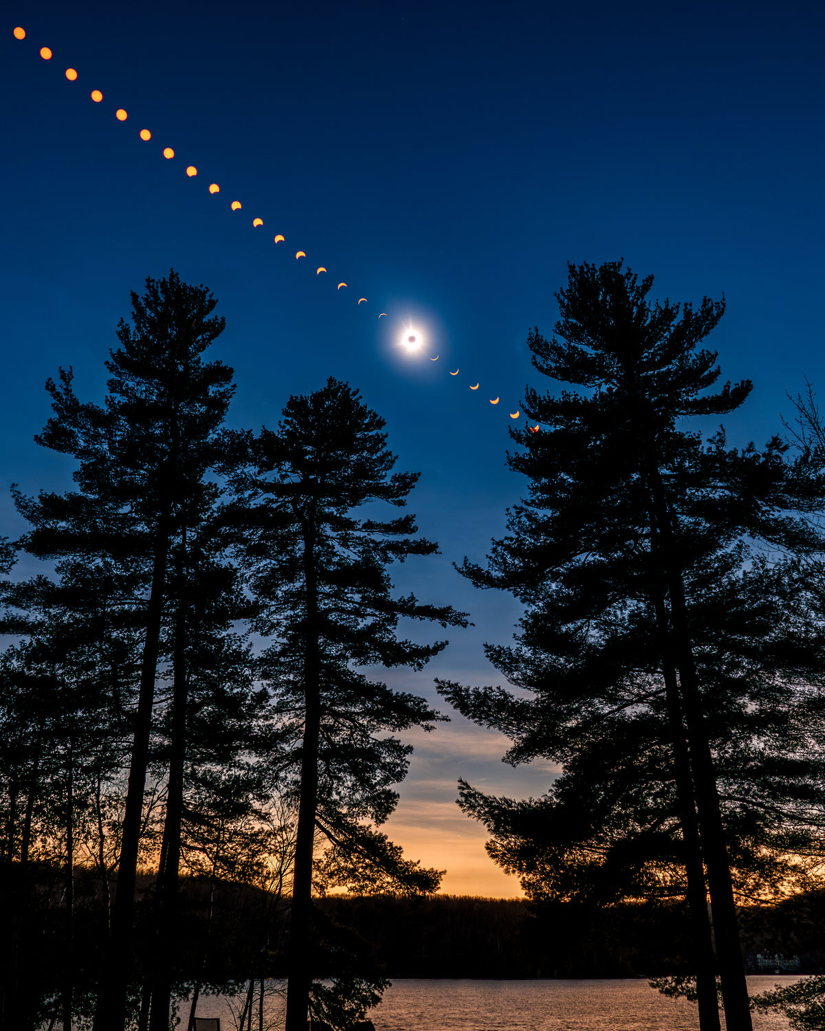 Eclipse 2024 - Phases and the Trees