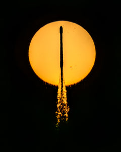 Falcon and the Sun