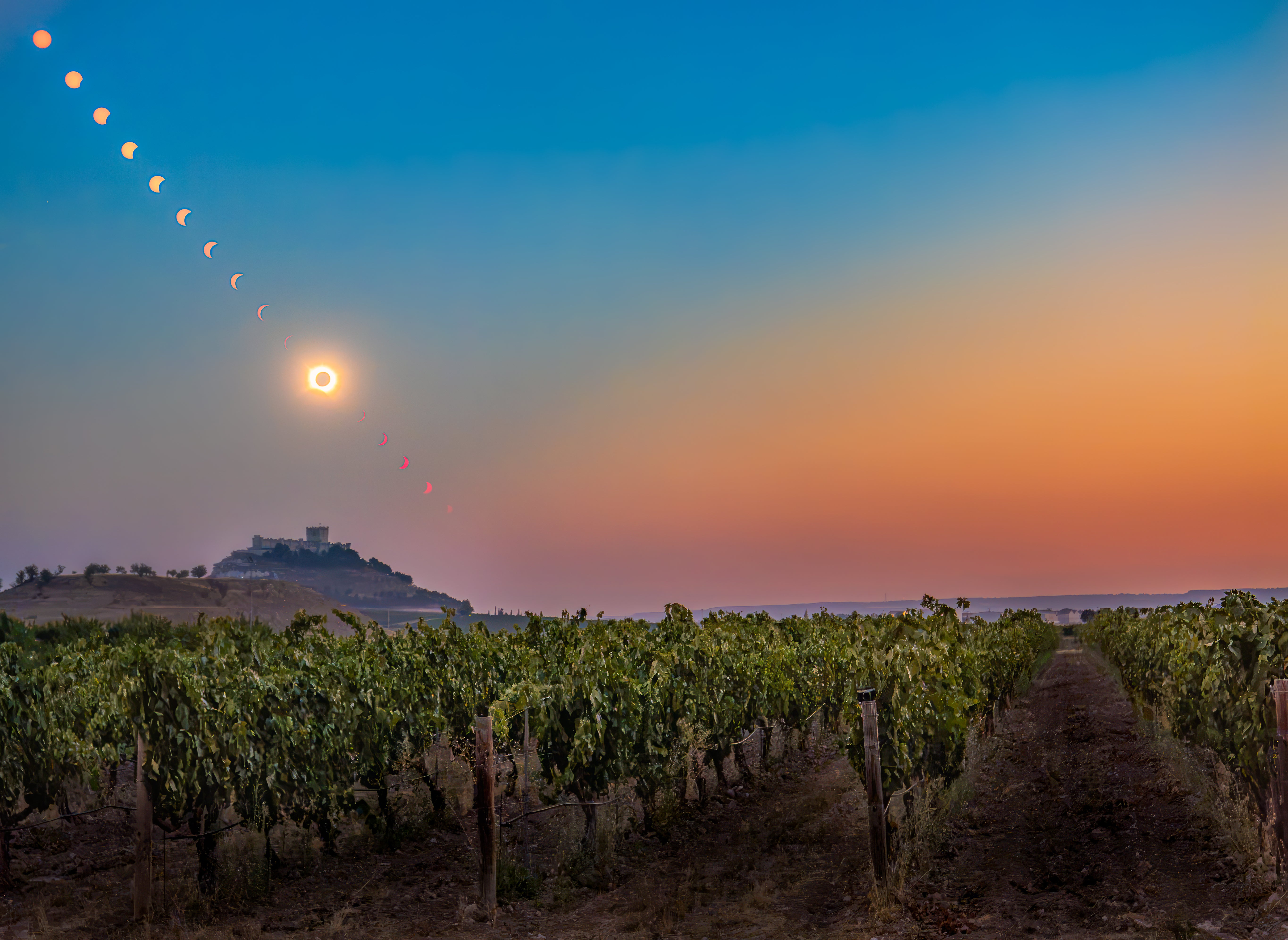 Eclipse Through the Vineyard - 2026 Total Solar Eclipse over