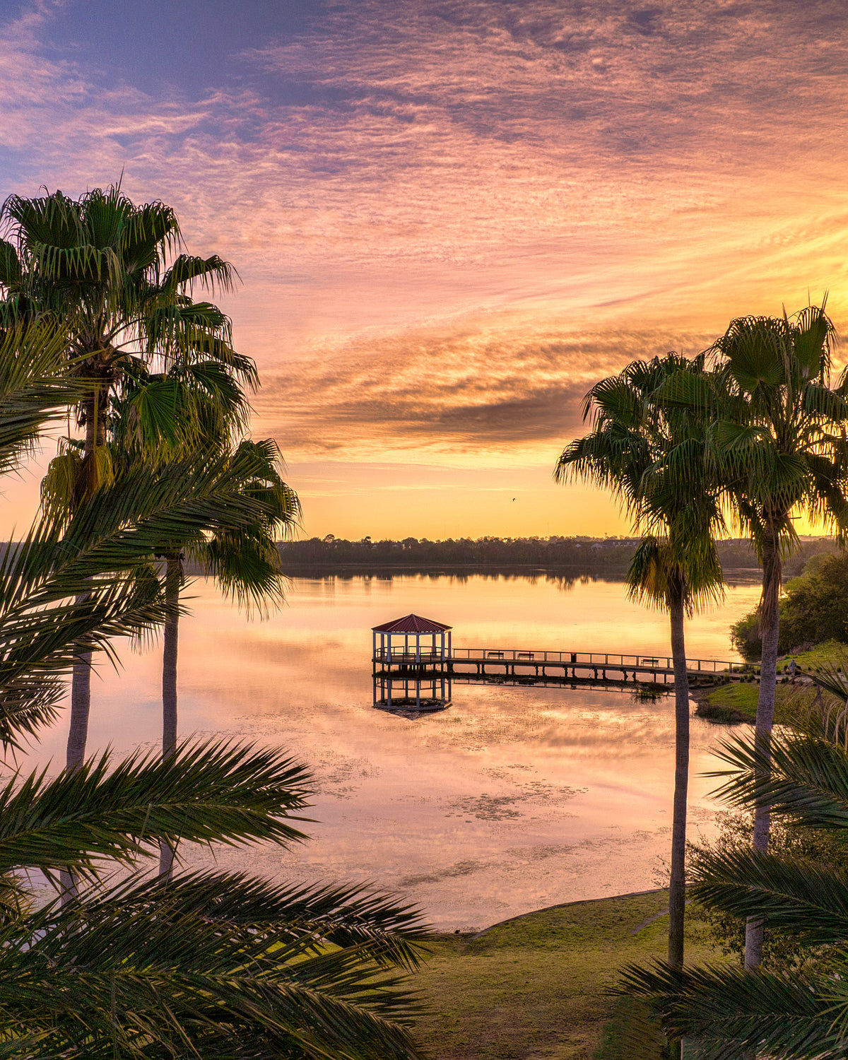 Tropical Paradise in Baldwin Park