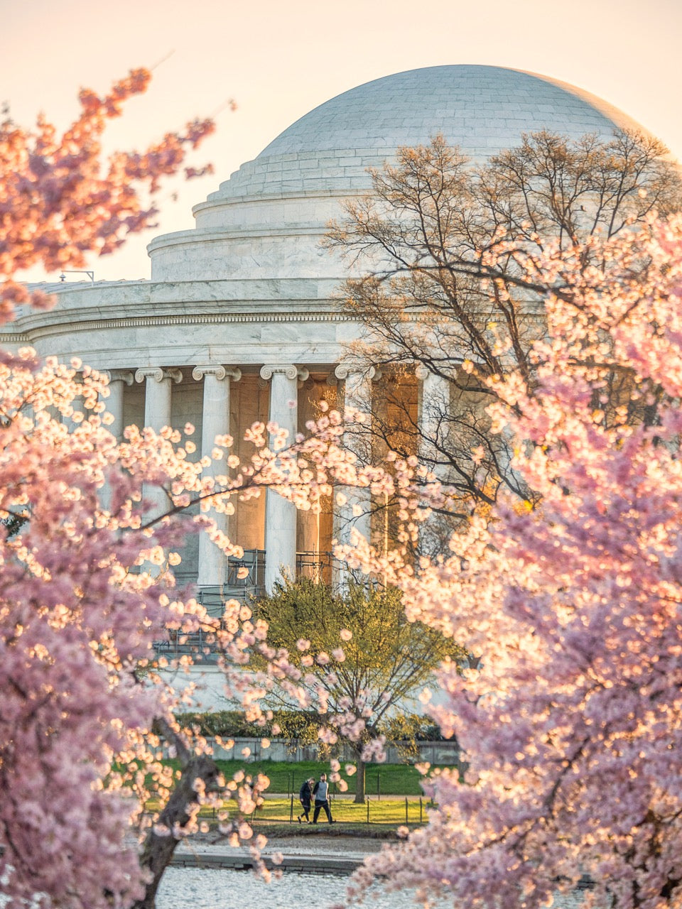 Morning Stroll at Jefferson Memorial