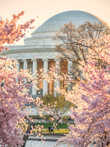 Morning Stroll at Jefferson Memorial