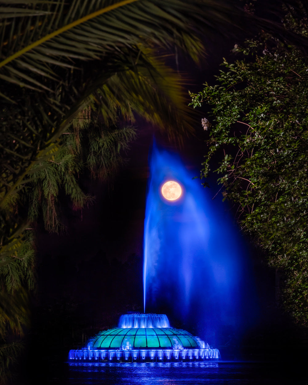 Lake Eola Moonrise