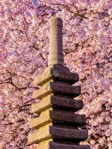 Japanese Pagoda