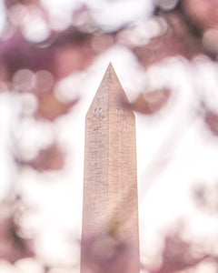 Washington Monument Standing Strong