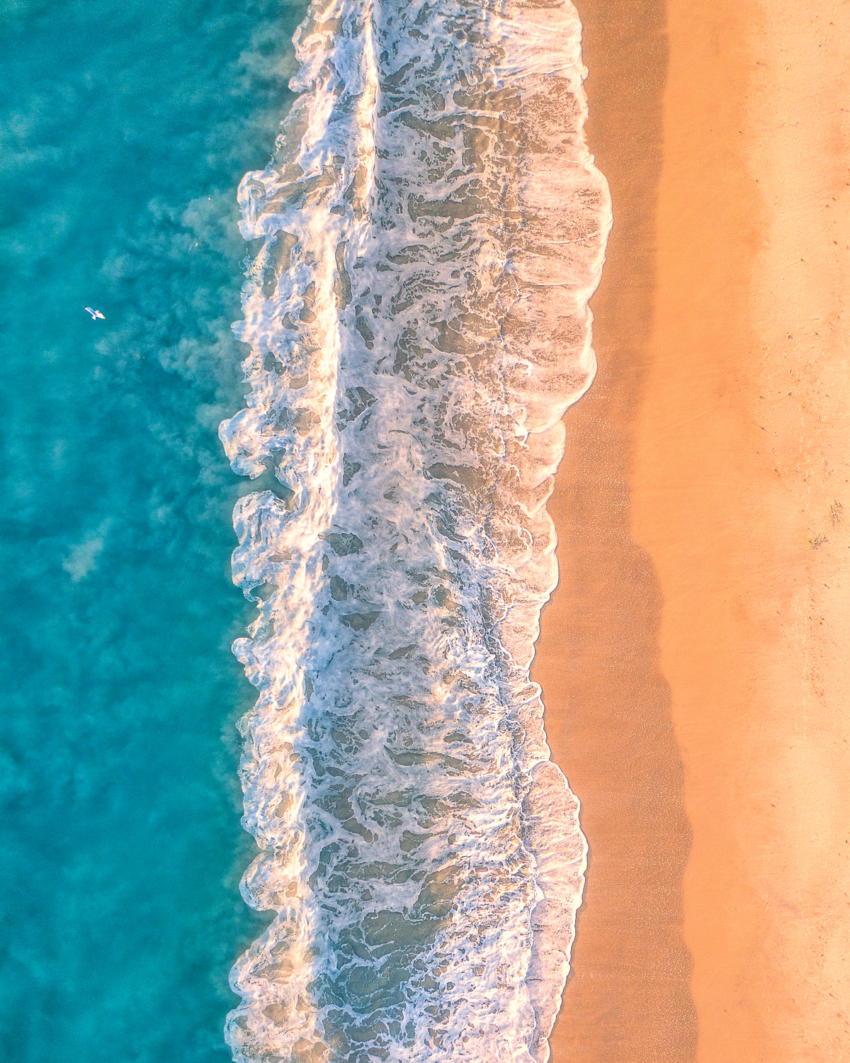Vero Beach Top-Down