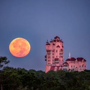 Tower of Terror Blue Moon