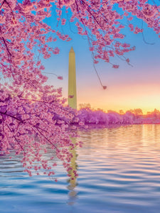 Washington Monument on a Serene Morning