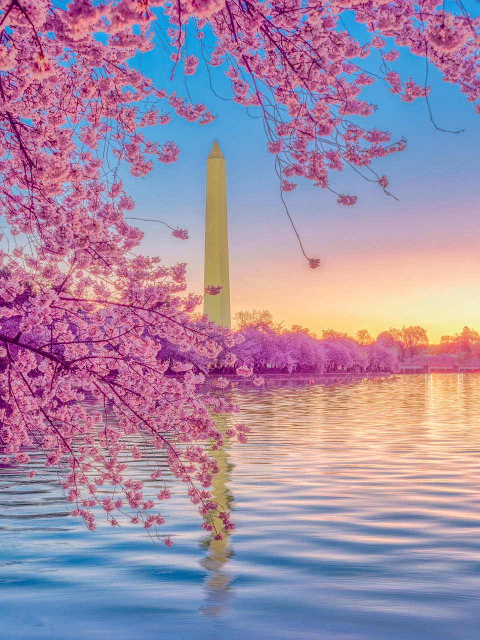 Washington Monument on a Serene Morning